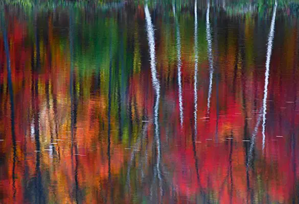 Peter Lik, One (2010)