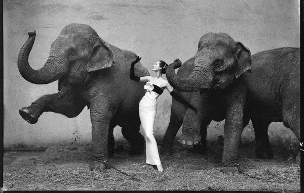 Richard Avedon, fotografias mais caras do mundo