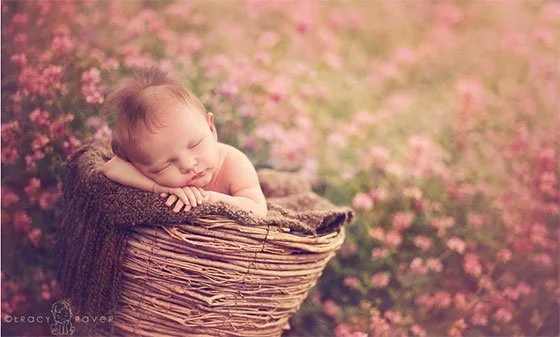 fotografia-infantil-tracy-raven_08