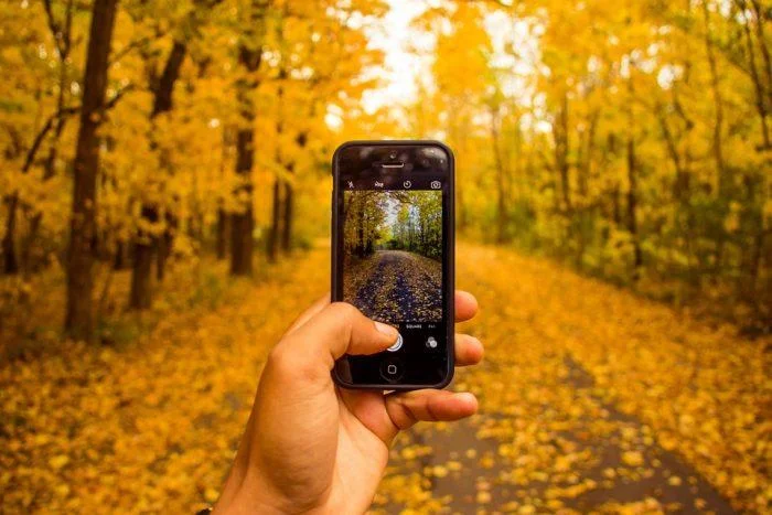 fotografar