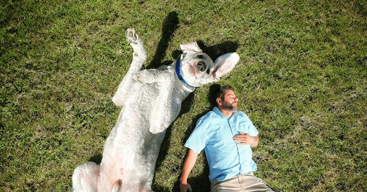 Christopher Cline e Juji tomando sol deitados lado a lado na grama