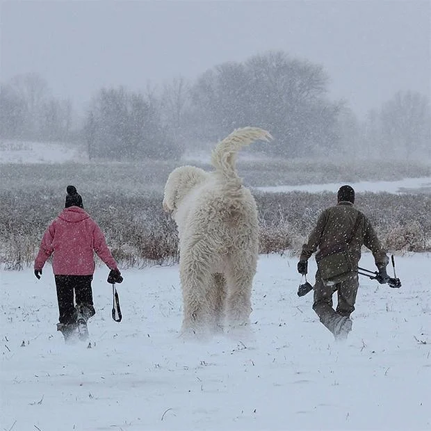 família de Juji passeando na neve