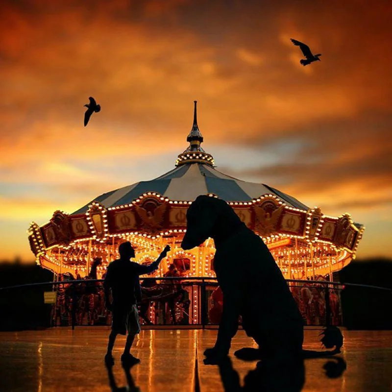 um linda montagem de Christopher Cline com seu cão gigante Juji na frente de um carrossel, no pôr do sol