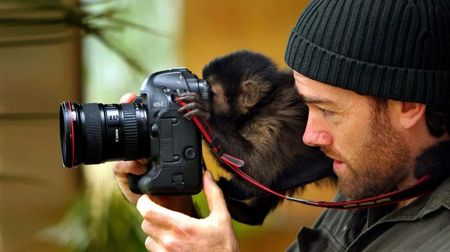 animais gostam de fotografia 17