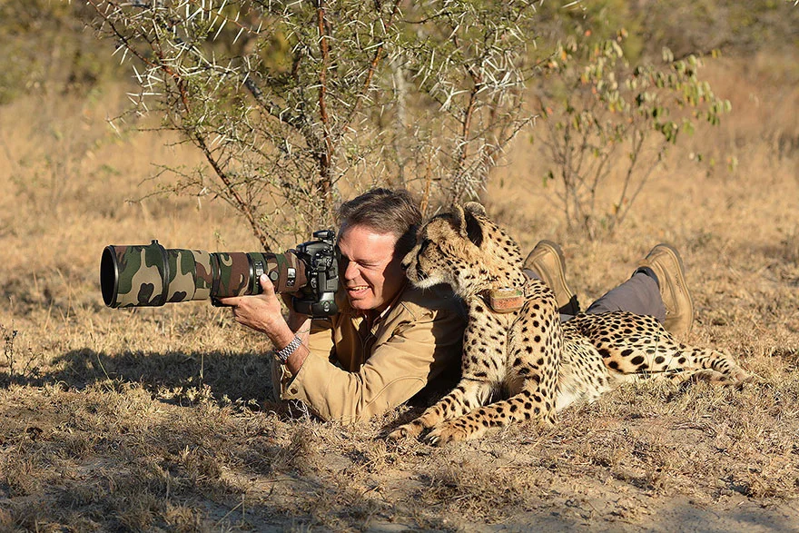 onça deitada ao lado de um fotógrafo que está deitado no chão