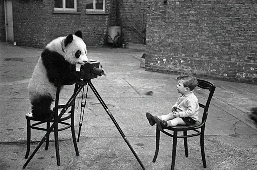 panda fotografando uma criança sentada