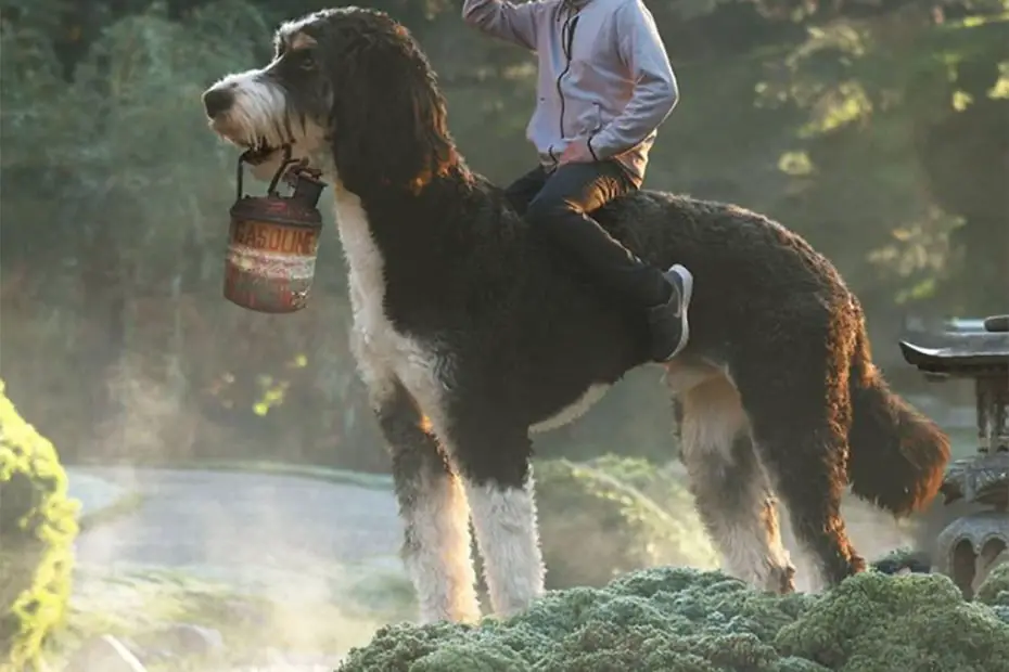juji o cão gigante de christopher cline
